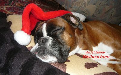 Weihnachtsfeier 2011