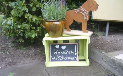 Ausstellungstraining 2011