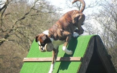 Frühjahrsprüfung 2016