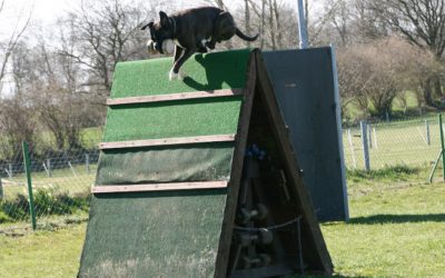 Frühjahrsprüfungen 2012