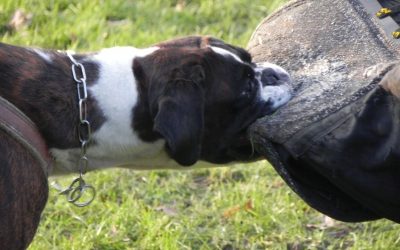 Seminar mit Ralf Waschulewski