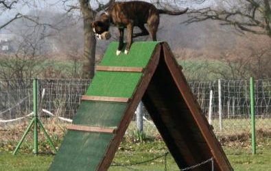 Frühjahrsprüfung 2011