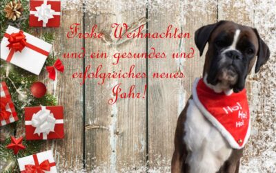 Hunde – Weihnacht 2022